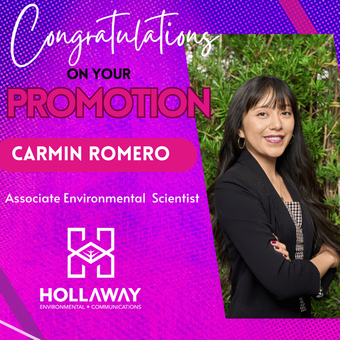 Carmin Romero Promotion
