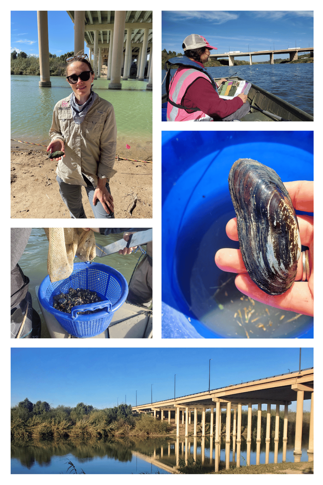 World Trade Bridge Newsletter
